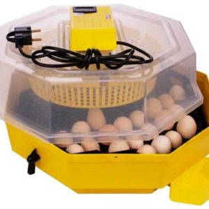 Inkubator do jaj iBator Home AUTO z silnikiem