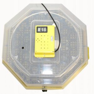 Inkubator lęgowy iBator HOME 60 z wyświetlaczem