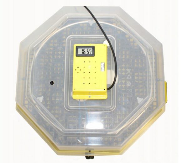 Inkubator lęgowy iBator HOME 60 z wyświetlaczem
